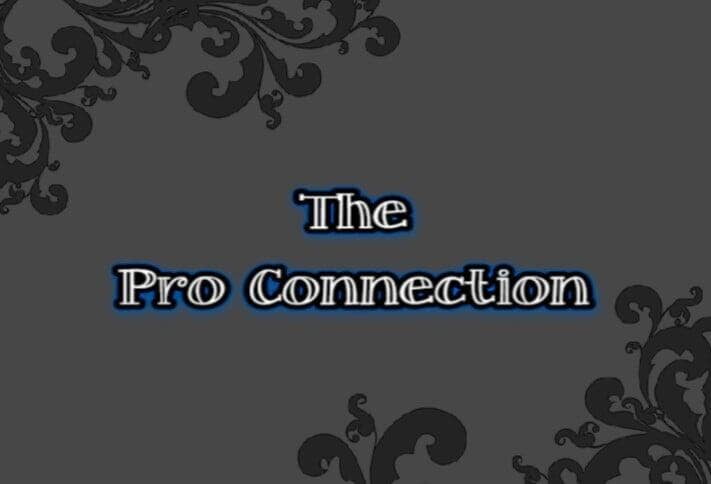   Welcome to "The Pro Connection" blog by KPO Connect!